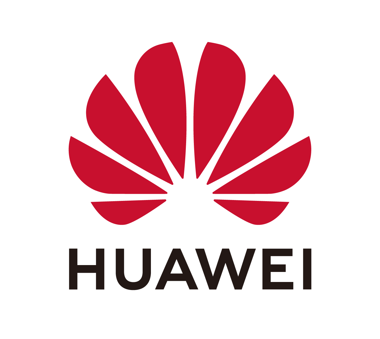 HUAWEI Logo_RGB_Update(1)-04